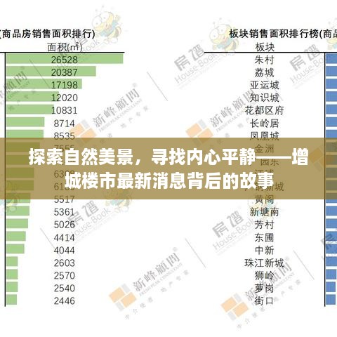 增城楼市最新动态背后的自然探索与内心平静之旅