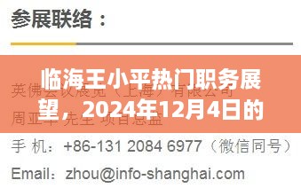 临海王小平职务展望，2024年未来展望分析