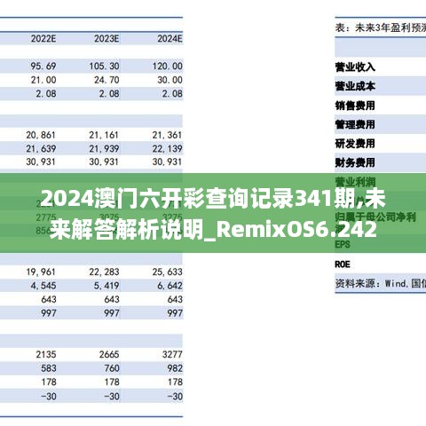 2024澳门六开彩查询记录341期,未来解答解析说明_RemixOS6.242