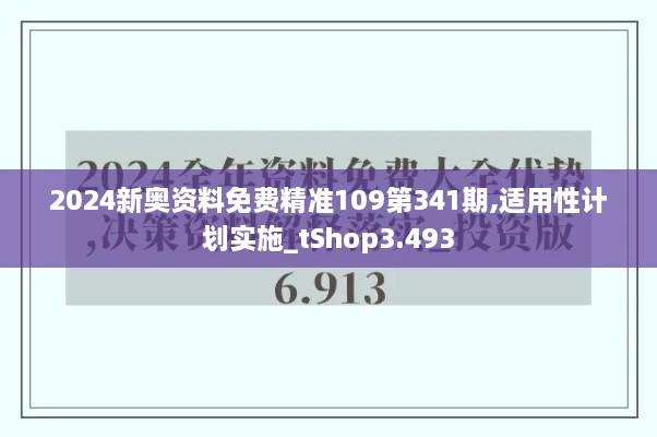 2024新奥资料免费精准109第341期,适用性计划实施_tShop3.493