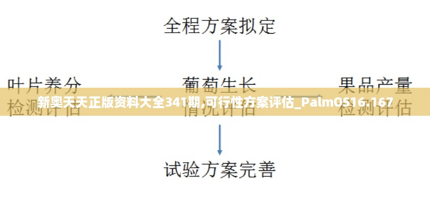 新奥天天正版资料大全341期,可行性方案评估_PalmOS16.167