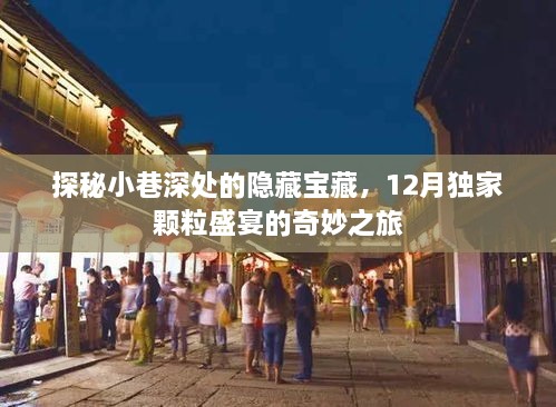 探秘小巷深处的宝藏，12月独家颗粒盛宴的奇幻之旅