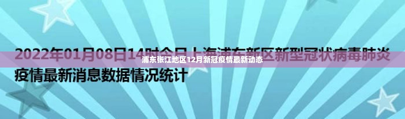 浦东张江地区12月新冠疫情最新更新