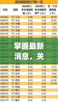 往年12月6日st宝实股份动态全攻略，从入门到进阶的指南