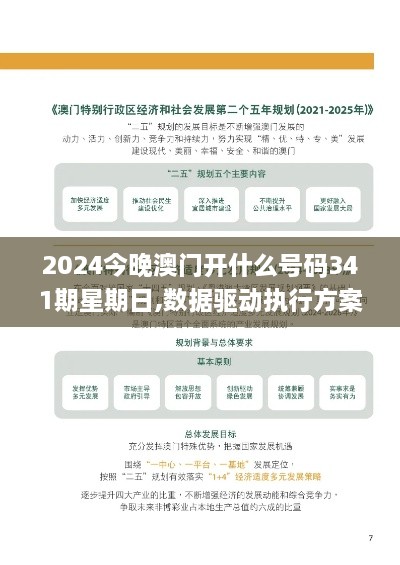 2024今晚澳门开什么号码341期星期日,数据驱动执行方案_理财版3.890