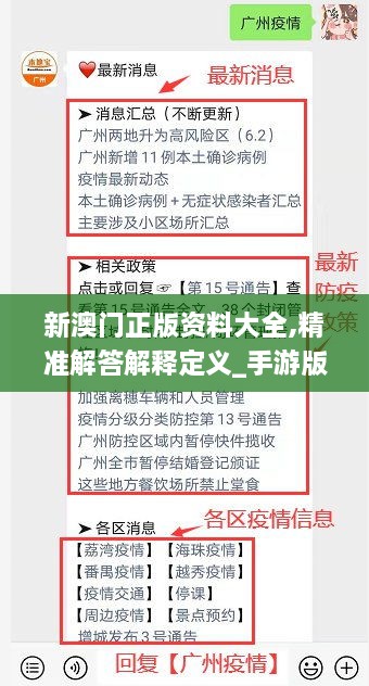 新澳门正版资料大全,精准解答解释定义_手游版110.224