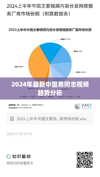 2024年中国男同志视频趋势深度解析