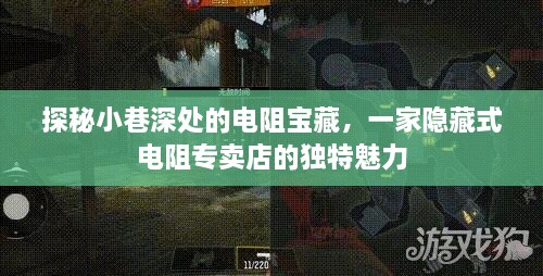 探秘小巷深处的电阻宝藏，隐藏式电阻专卖店的独特魅力探索