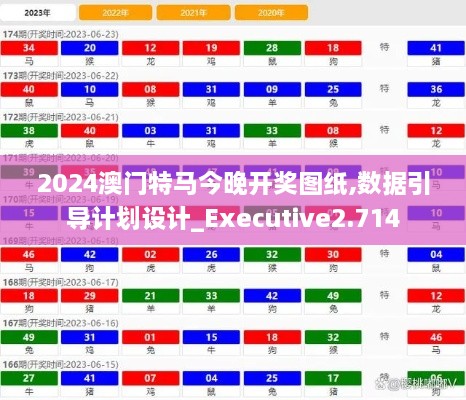 2024澳门特马今晚开奖图纸,数据引导计划设计_Executive2.714