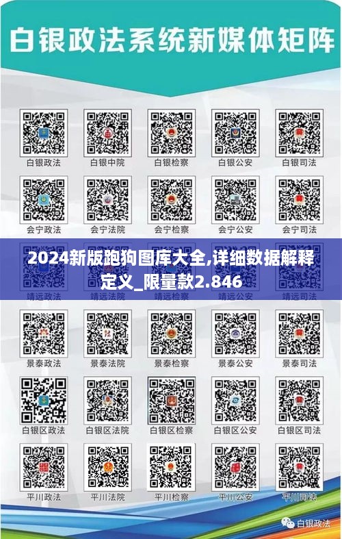 2024新版跑狗图库大全,详细数据解释定义_限量款2.846