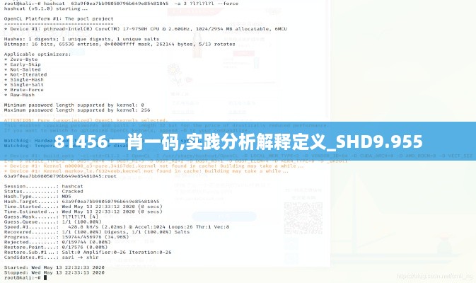 81456一肖一码,实践分析解释定义_SHD9.955