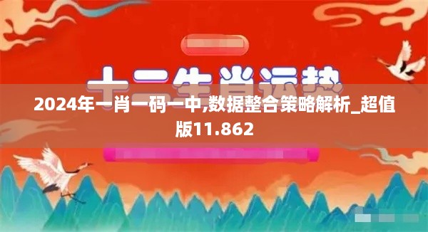 2024年一肖一码一中,数据整合策略解析_超值版11.862