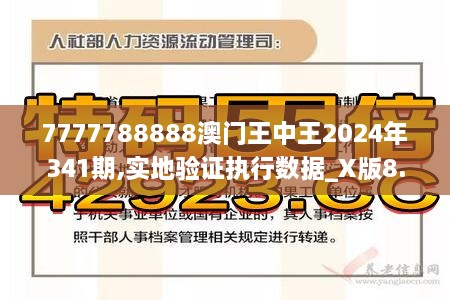 7777788888澳门王中王2024年341期,实地验证执行数据_X版8.243