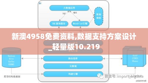 新澳4958免费资料,数据支持方案设计_轻量版10.219