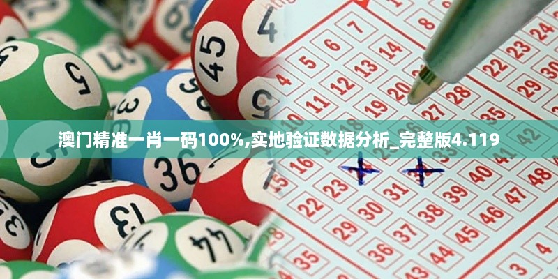 澳门精准一肖一码100%,实地验证数据分析_完整版4.119