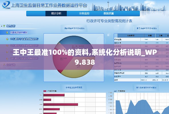 王中王最准100%的资料,系统化分析说明_WP9.838