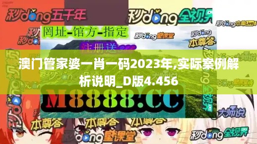 澳门管家婆一肖一码2023年,实际案例解析说明_D版4.456