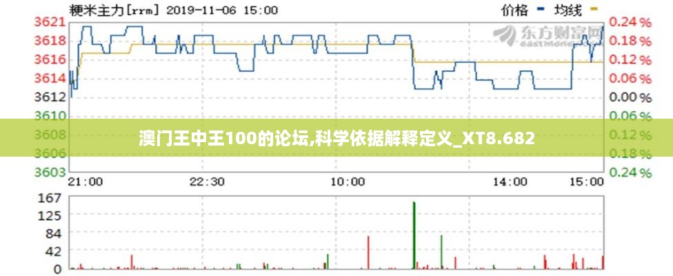 澳门王中王100的论坛,科学依据解释定义_XT8.682