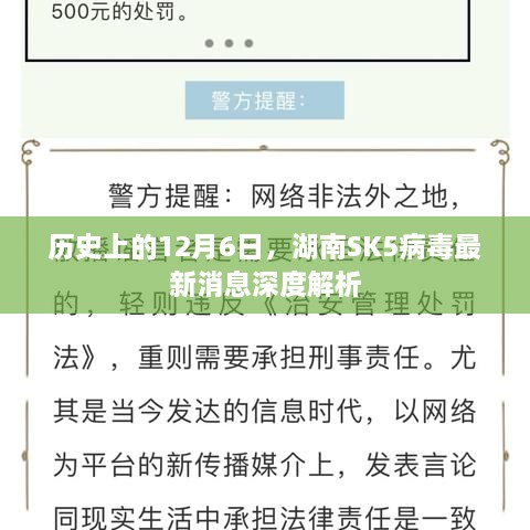 湖南SK5病毒最新消息深度解析，历史视角下的12月6日观察