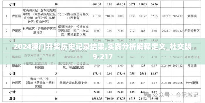 2024澳门开奖历史记录结果,实践分析解释定义_社交版9.217