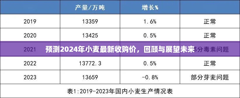 预测2024年小麦最新收购价，回顾与展望未来