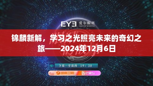 锦麟新解，学习之光引领奇幻之旅，未来展望2024年12月6日