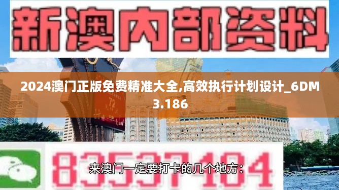 2024澳门正版免费精准大全,高效执行计划设计_6DM3.186