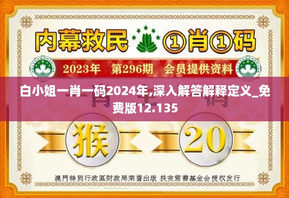 白小姐一肖一码2024年,深入解答解释定义_免费版12.135