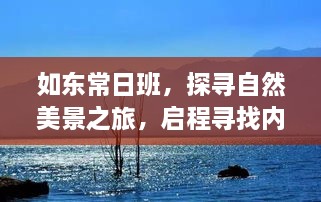 探寻自然美景之旅，启程如东常日班，寻找内心的宁静与平和