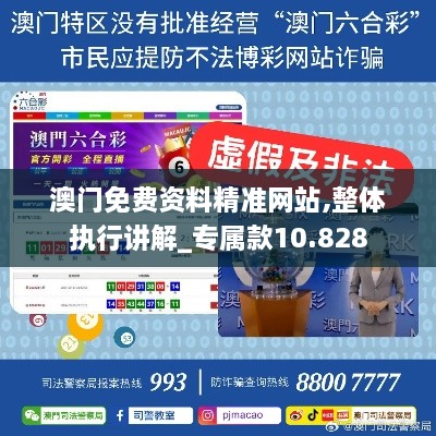 澳门免费资料精准网站,整体执行讲解_专属款10.828