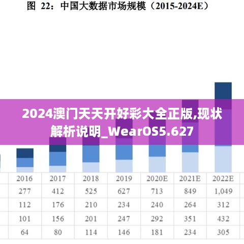 2024澳门天天开好彩大全正版,现状解析说明_WearOS5.627