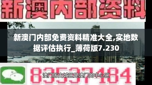 新澳门内部免费资料精准大全,实地数据评估执行_薄荷版7.230