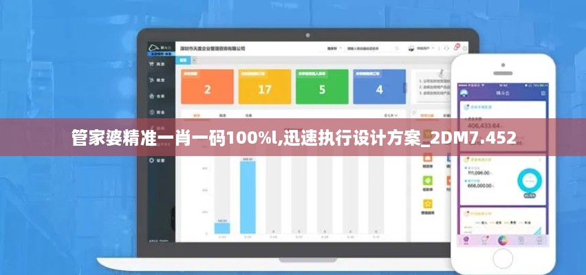 管家婆精准一肖一码100%l,迅速执行设计方案_2DM7.452