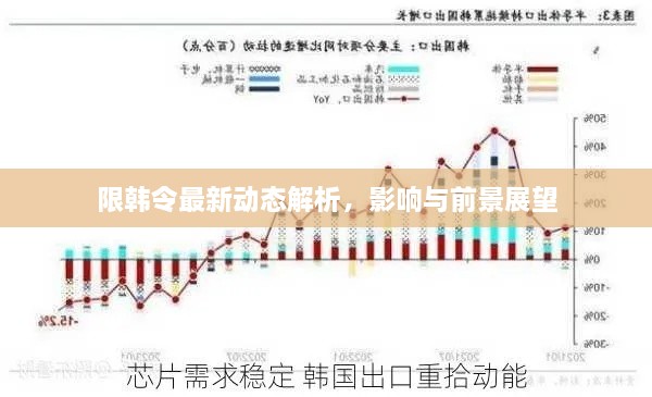 限韩令最新动态解析，影响与前景展望