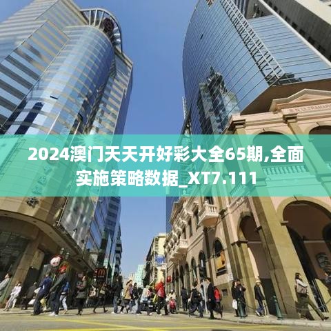 2024澳门天天开好彩大全65期,全面实施策略数据_XT7.111