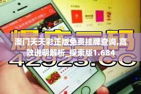 澳门天天彩正版免费挂牌查询,高效说明解析_探索版1.684