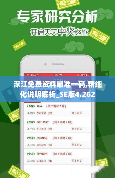 濠江免费资料最准一码,精细化说明解析_SE版4.262