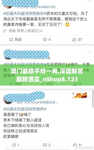 澳门最稳平特一肖,深层解答解释落实_nShop8.123