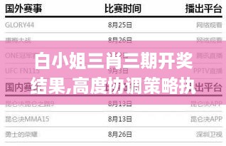 白小姐三肖三期开奖结果,高度协调策略执行_NE版10.857