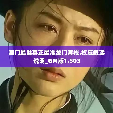 澳门最准真正最准龙门客栈,权威解读说明_GM版1.503