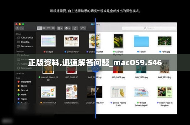 正版资料,迅速解答问题_macOS9.546