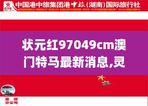 状元红97049cm澳门特马最新消息,灵活性计划实施_钻石版7.741