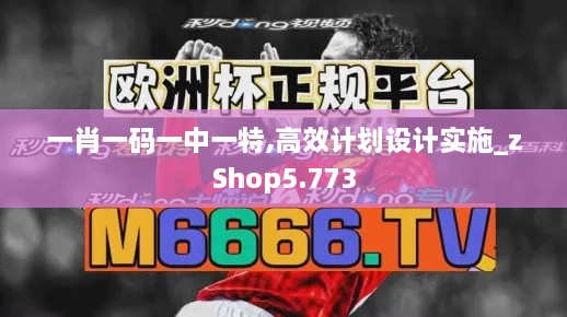 一肖一码一中一特,高效计划设计实施_zShop5.773