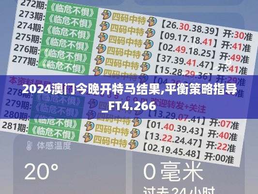 2024澳门今晚开特马结果,平衡策略指导_FT4.266