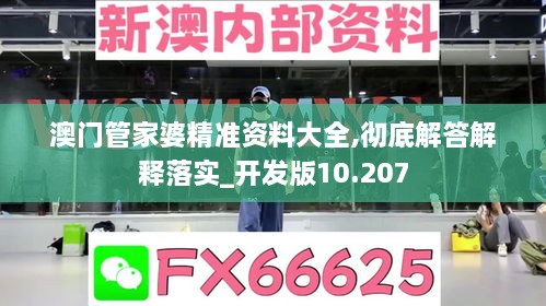 澳门管家婆精准资料大全,彻底解答解释落实_开发版10.207