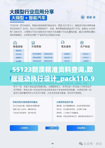 55123新澳精准资料查询,数据驱动执行设计_pack110.946