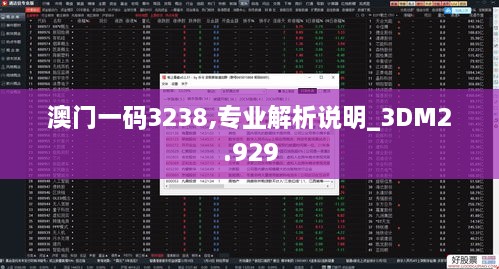 澳门一码3238,专业解析说明_3DM2.929