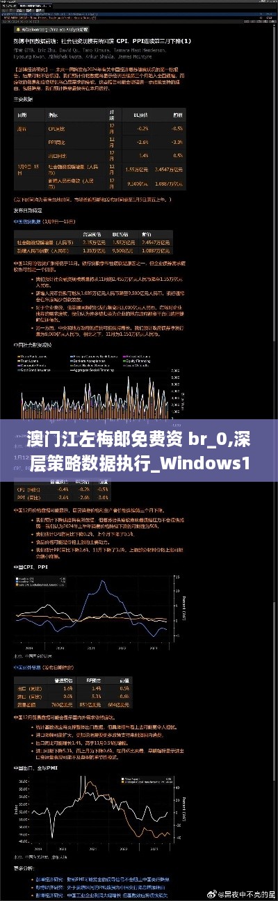 澳门江左梅郎免费资 br_0,深层策略数据执行_Windows14.151