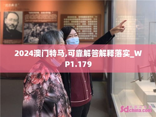 2024澳门特马,可靠解答解释落实_WP1.179