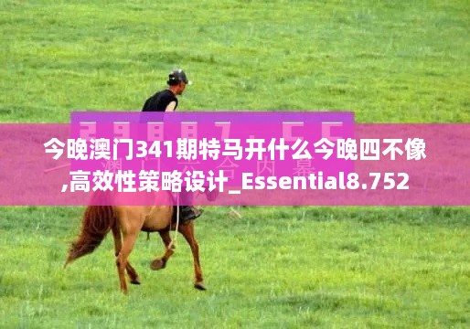 今晚澳门341期特马开什么今晚四不像,高效性策略设计_Essential8.752